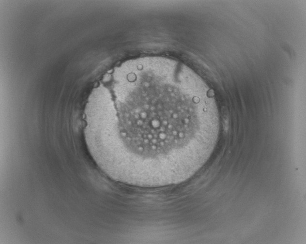 X0000115031204200911231105