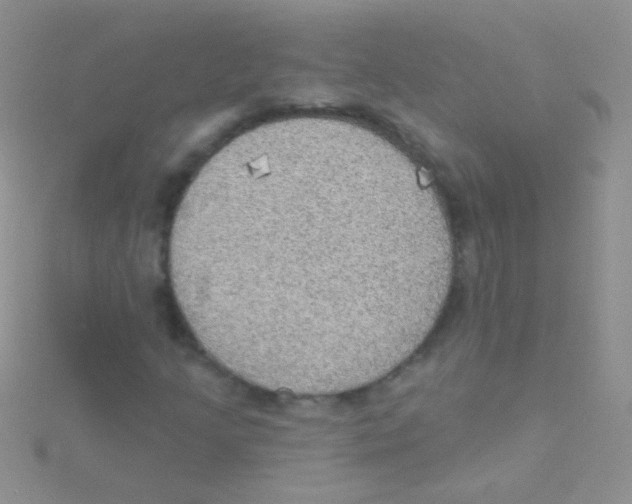 X0000115031205200911231105