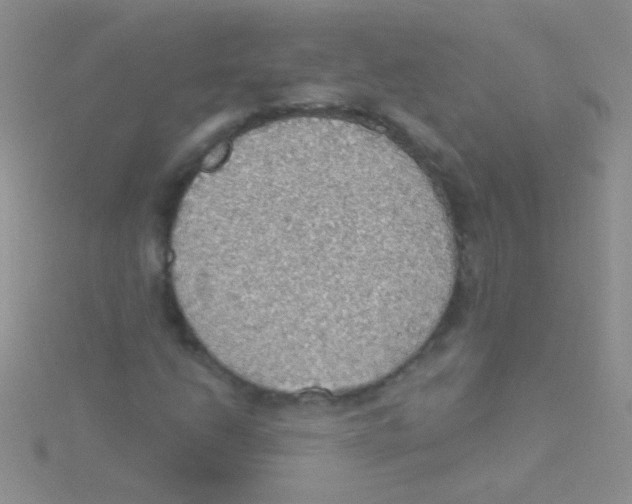 X0000115031206200911231105