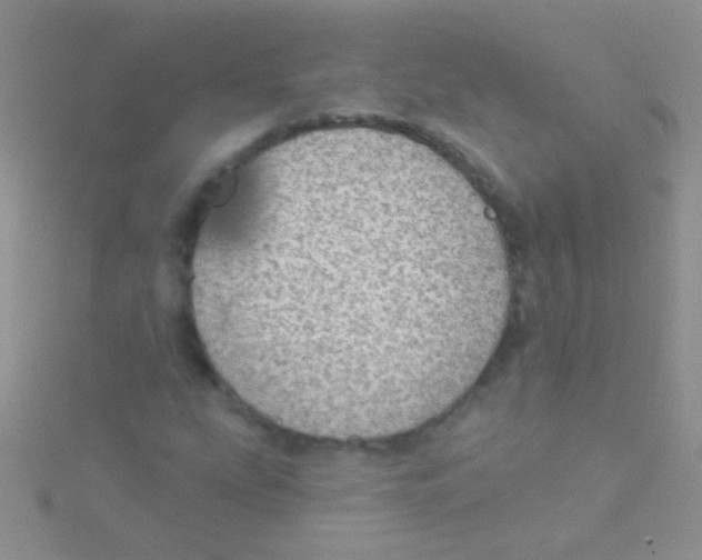 X0000115031207200911231105