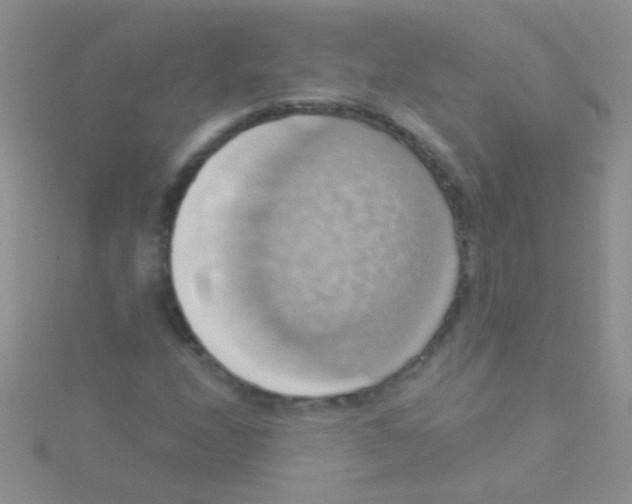 X0000115031208200911231105