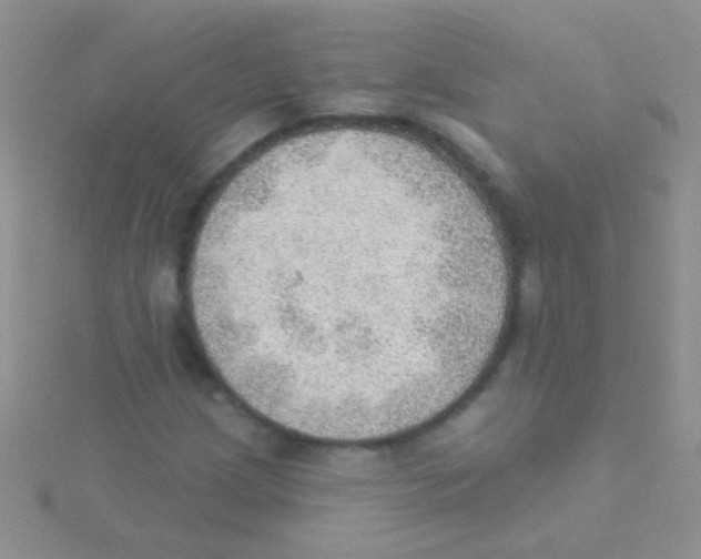 X0000115031209200911231105