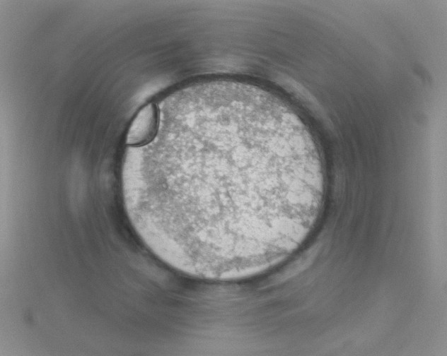 X0000115031210200911231105