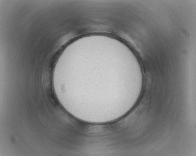 X0000115031211200911231105