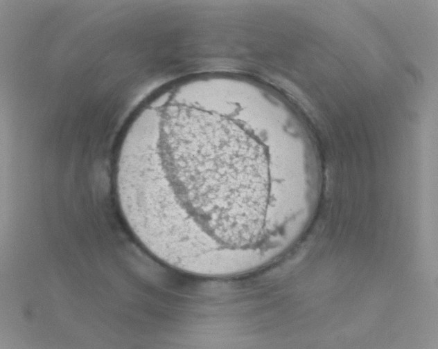 X0000115031212200911231105