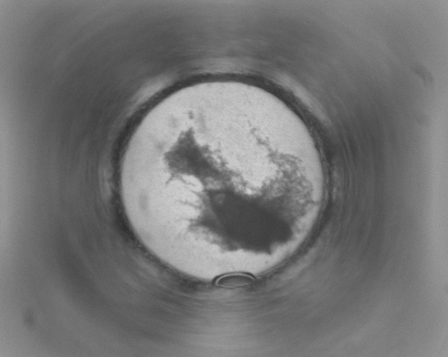 X0000115031213200911231105