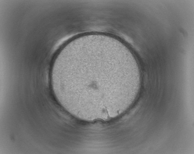 X0000115031214200911231105