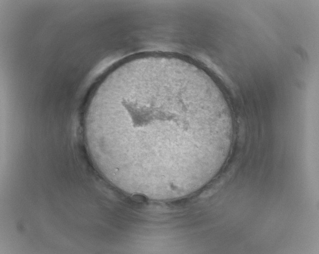 X0000115031215200911231105