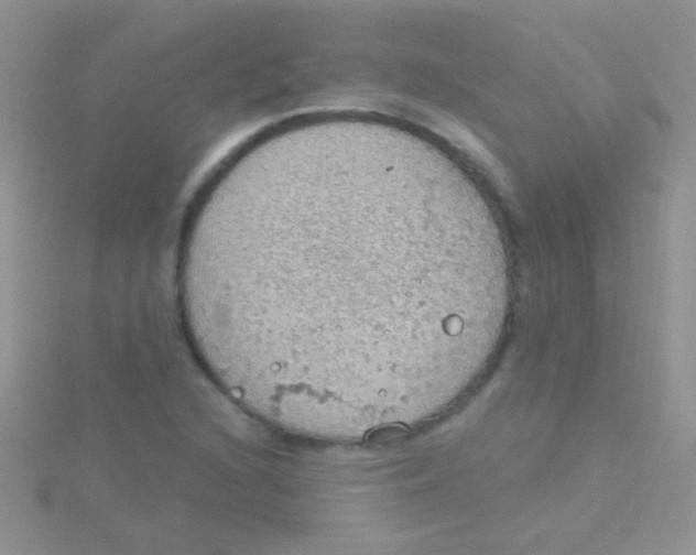 X0000115031216200911231105