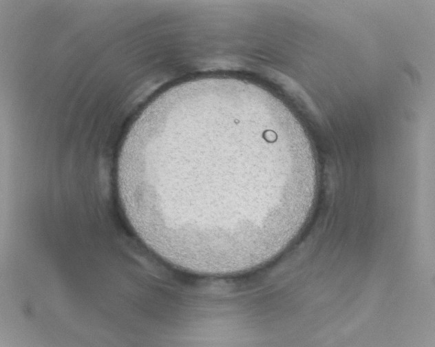 X0000115031217200911231105