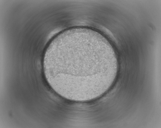 X0000115031218200911231105