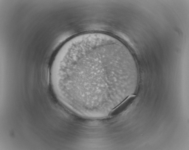 X0000115031219200911231105