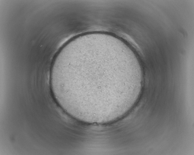 X0000115031220200911231105