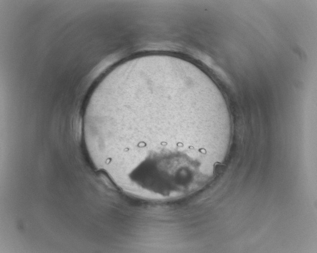 X0000115031221200911231105