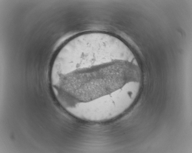 X0000115031222200911231105