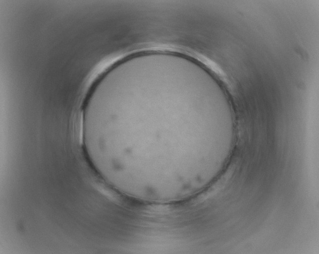 X0000115031223200911231105