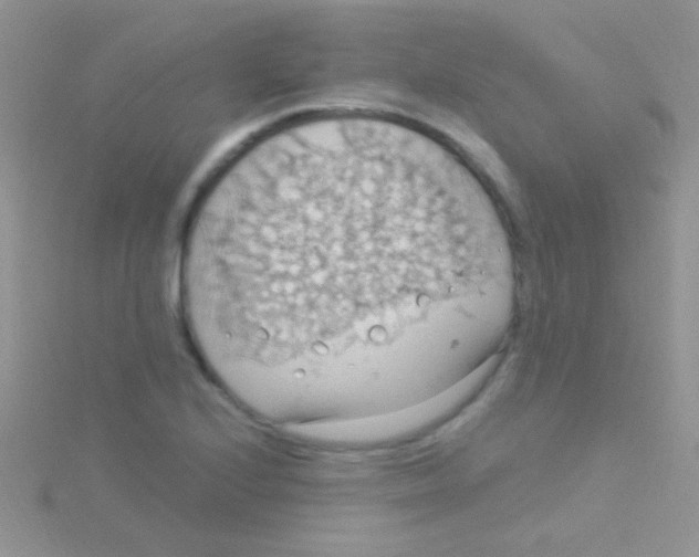 X0000115031224200911231105