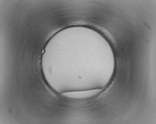 X0000115031225200911231105