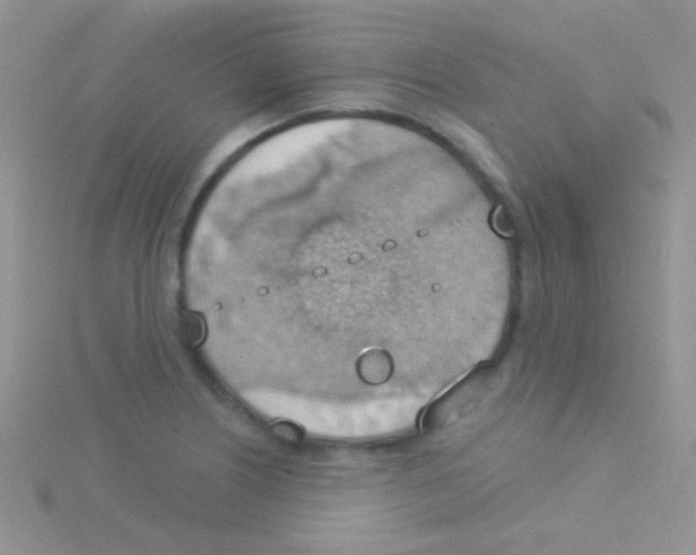 X0000115031226200911231105