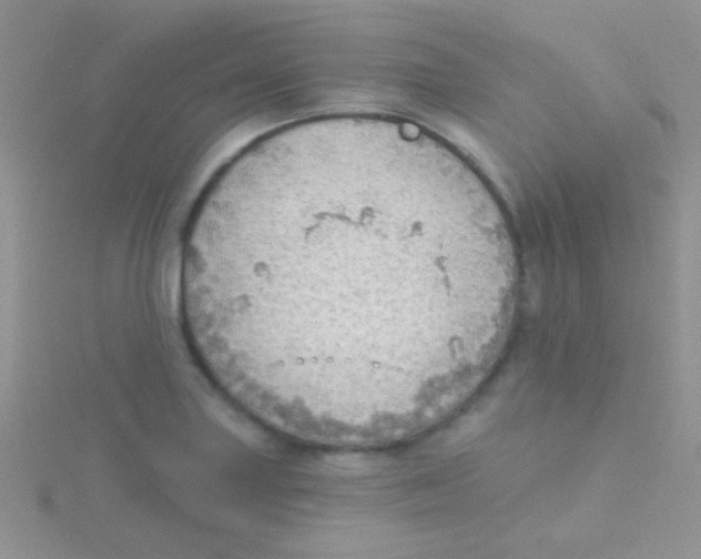 X0000115031227200911231105