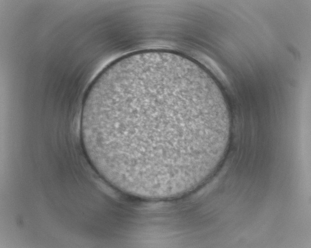 X0000115031228200911231105