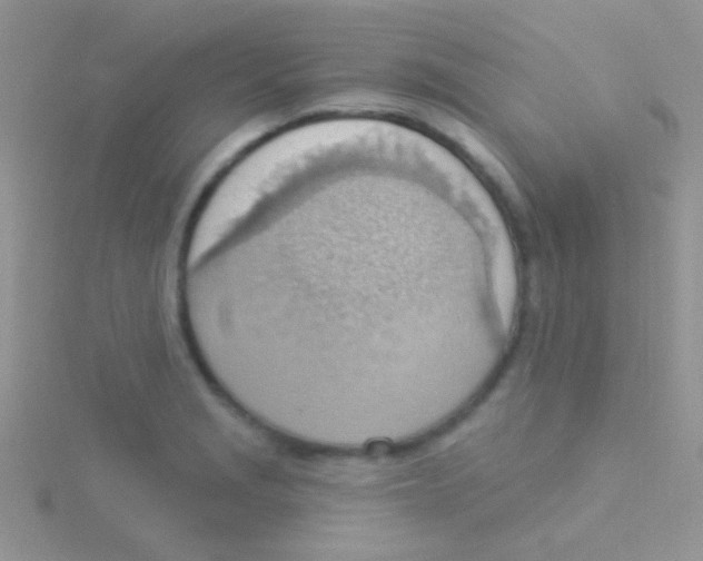 X0000115031229200911231105