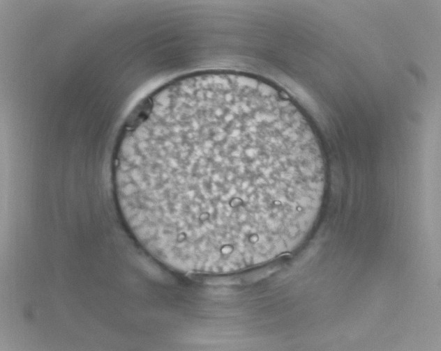 X0000115031230200911231105