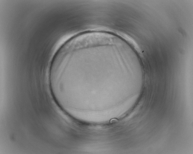 X0000115031231200911231105