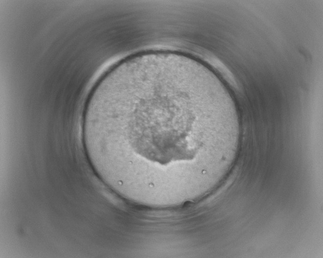 X0000115031232200911231105