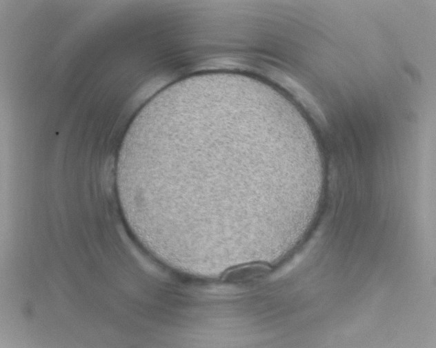 X0000115031233200911231105