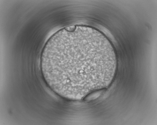 X0000115031234200911231105