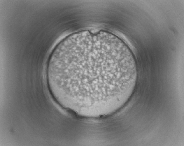 X0000115031235200911231105