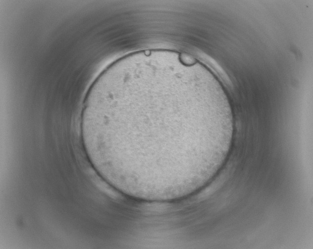 X0000115031236200911231105