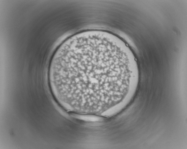 X0000115031237200911231105