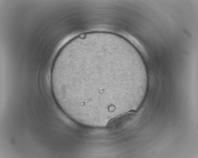 X0000115031238200911231105