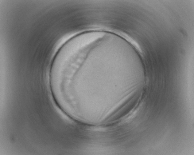 X0000115031239200911231105