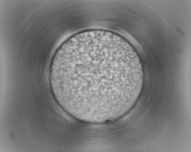 X0000115031240200911231105