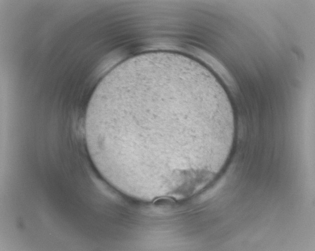 X0000115031241200911231105