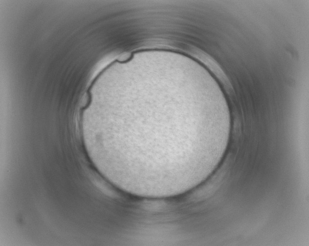 X0000115031242200911231105