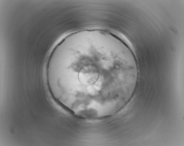 X0000115031243200911231105