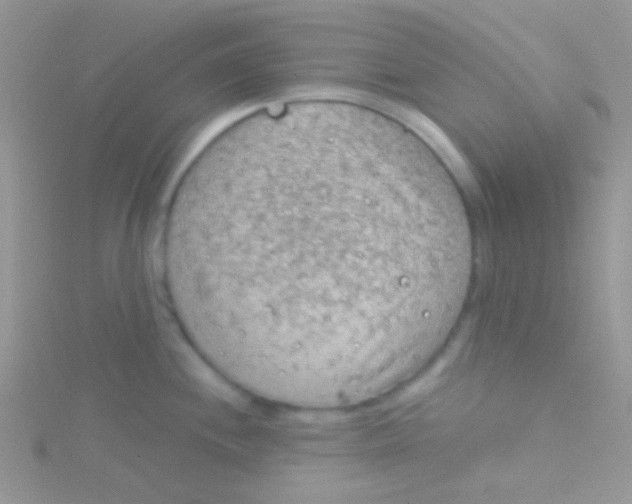 X0000115031244200911231105