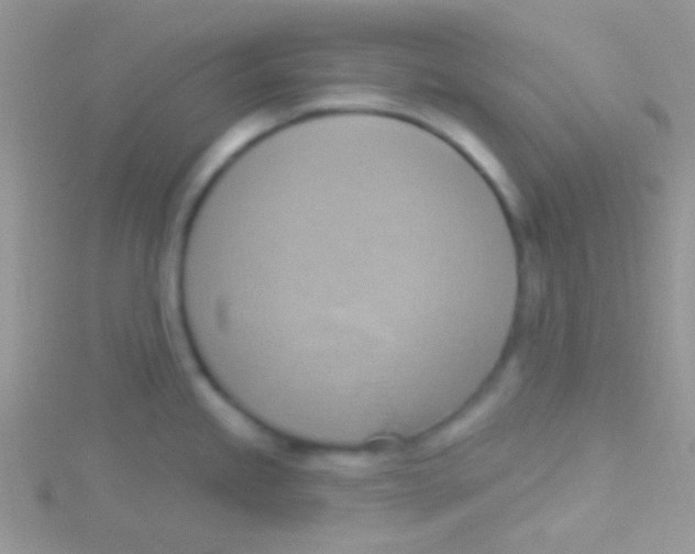 X0000115031245200911231105