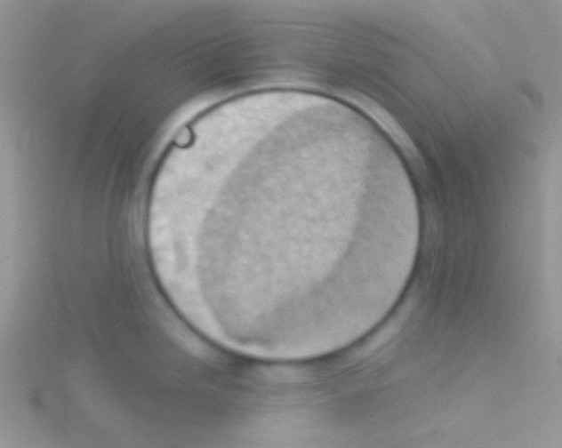 X0000115031246200911231105