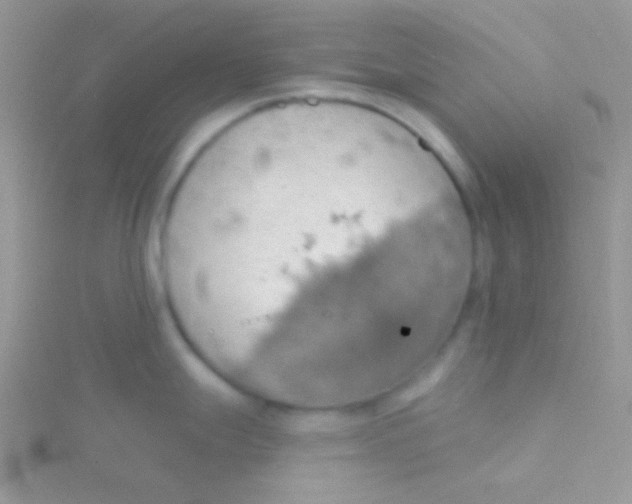 X0000115031247200911231106