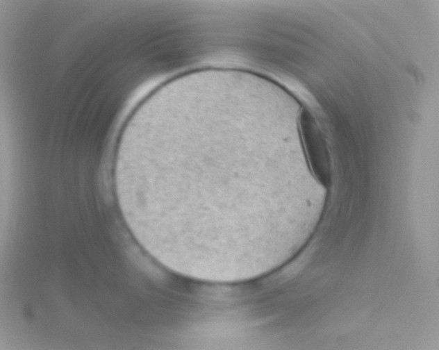 X0000115031248200911231106