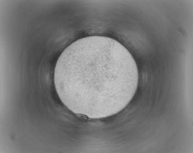 X0000115031250200911231105