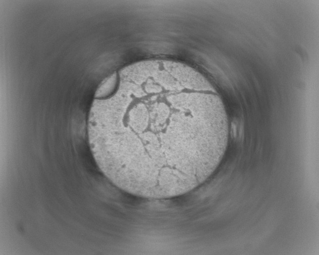 X0000115031251200911231105