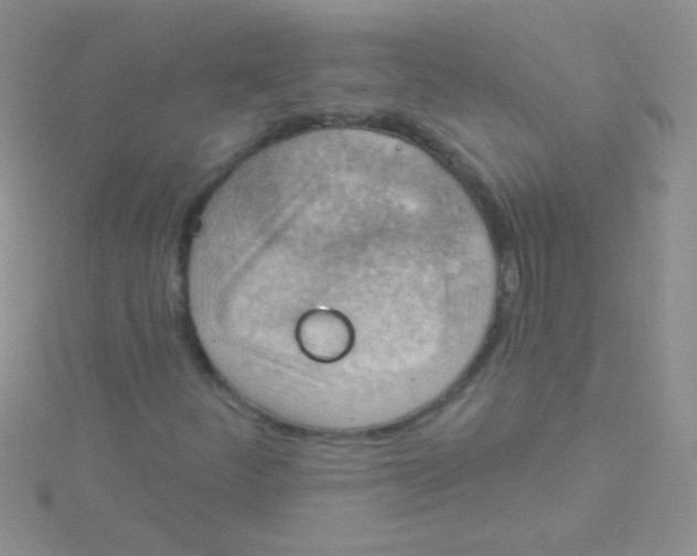 X0000115031252200911231105