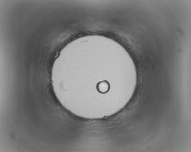 X0000115031253200911231105