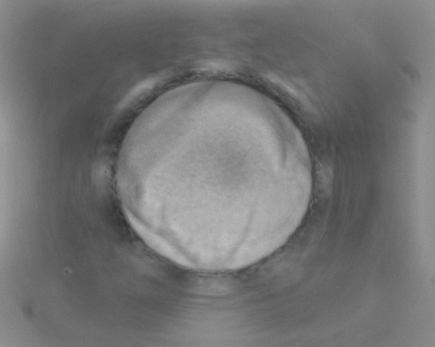 X0000115031254200911231105